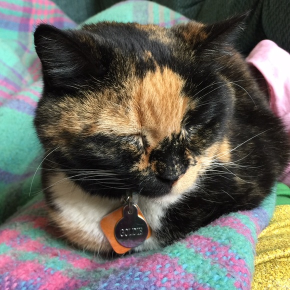 Meet your Posher, Natalie - Picture 7 of 13